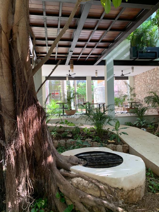 Treehouse Boutique Hotel, An Adults Only Boutique Hotel Merida Luaran gambar