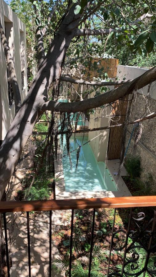 Treehouse Boutique Hotel, An Adults Only Boutique Hotel Merida Luaran gambar
