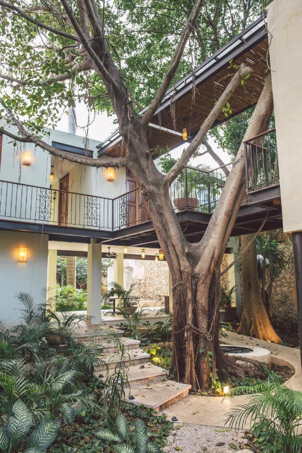 Treehouse Boutique Hotel, An Adults Only Boutique Hotel Merida Luaran gambar